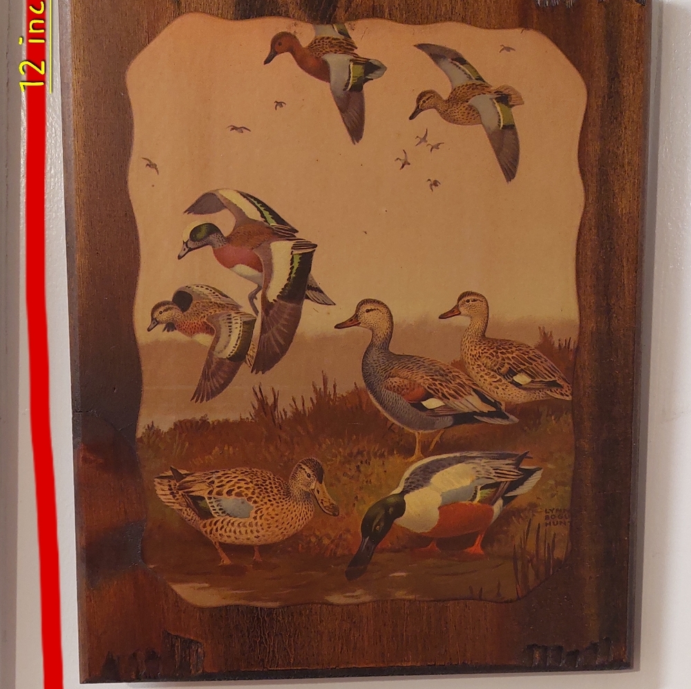 wooden frame with hand painted ducks